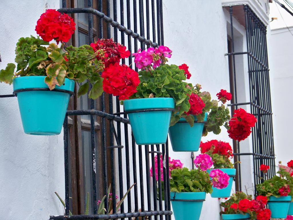 Apartamentos Miguel Angel エステポナ エクステリア 写真