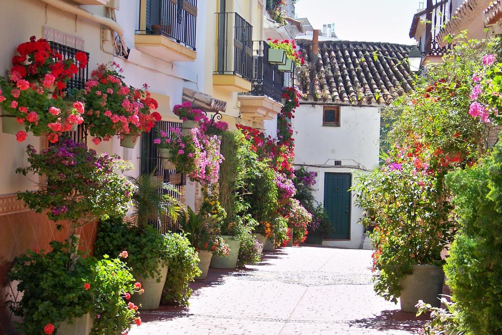 Apartamentos Miguel Angel エステポナ エクステリア 写真